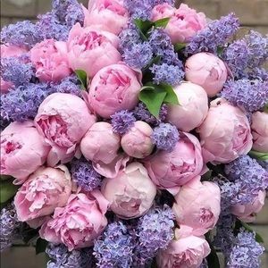 Meet your Posher, Vicki